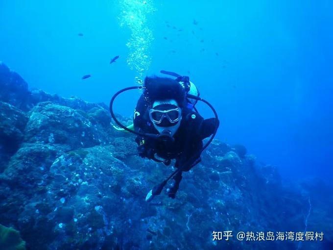 祖上积德才能娶得到的4个生肖女，温柔贤惠，人品特别好！